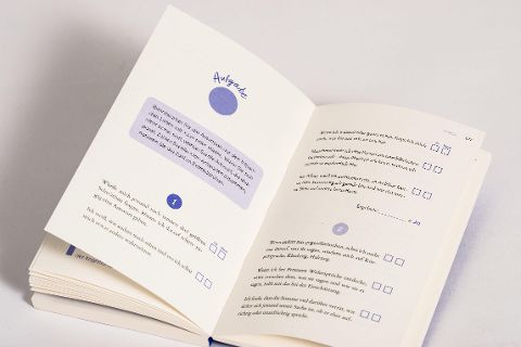 InsideView 4