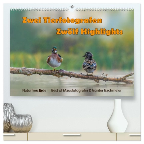 Zwei Tierfotografen Zwölf Highlights (hochwertiger Premium Wandkalender 2025 DIN A2 quer), Kunstdruck in Hochglanz - Jennifer Hetzel & Günter Bachmeier