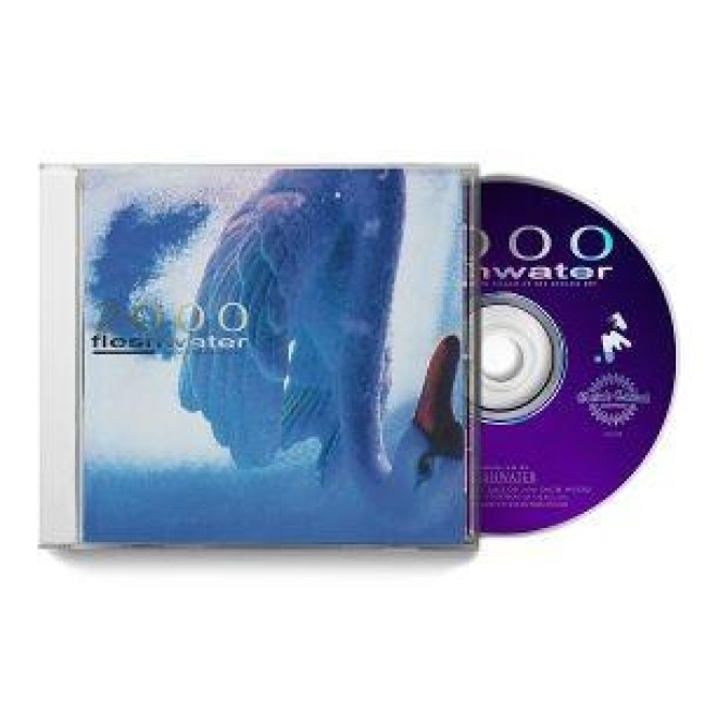 2000: In Search Of The Endless Sky - Fleshwater