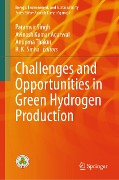 Challenges and Opportunities in Green Hydrogen Production - 