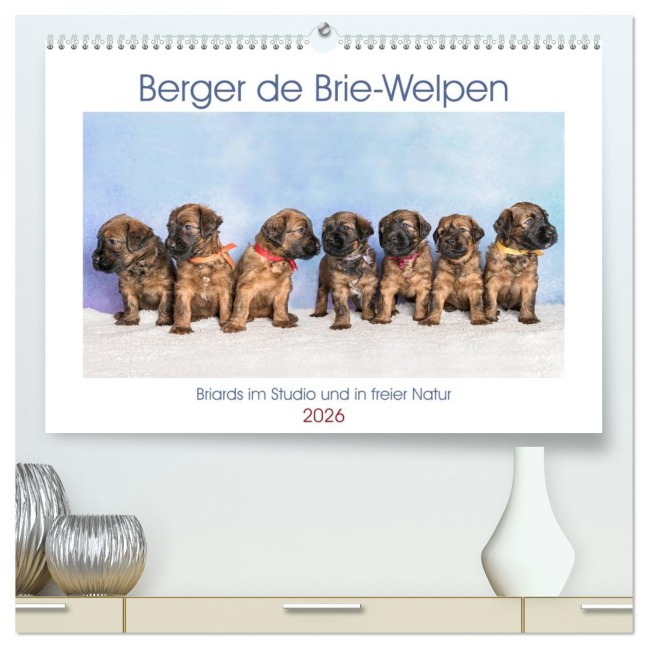 Berger de Brie - Welpen (hochwertiger Premium Wandkalender 2026 DIN A2 quer), Kunstdruck in Hochglanz - Sonja Tessen
