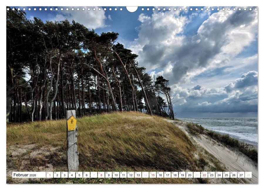 InsideView 7