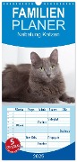 Familienplaner 2025 - Nebelung Katzen mit 5 Spalten (Wandkalender, 21 x 45 cm) CALVENDO - Fotodesign Verena Scholze