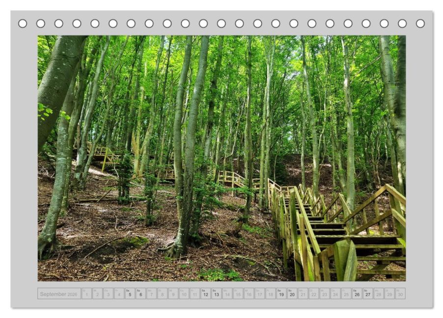 InsideView 14