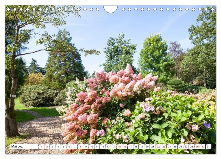 InsideView 10