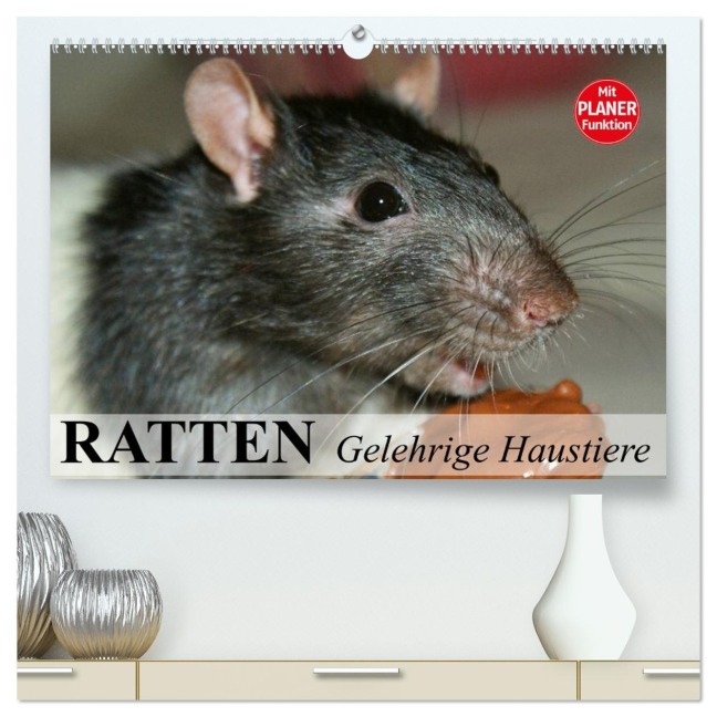 Ratten. Gelehrige Haustiere (hochwertiger Premium Wandkalender 2026 DIN A2 quer), Kunstdruck in Hochglanz - Elisabeth Stanzer