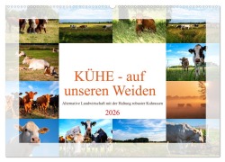 Kühe - auf unseren Weiden (Wandkalender 2026 DIN A2 quer), CALVENDO Monatskalender - Tanja Riedel