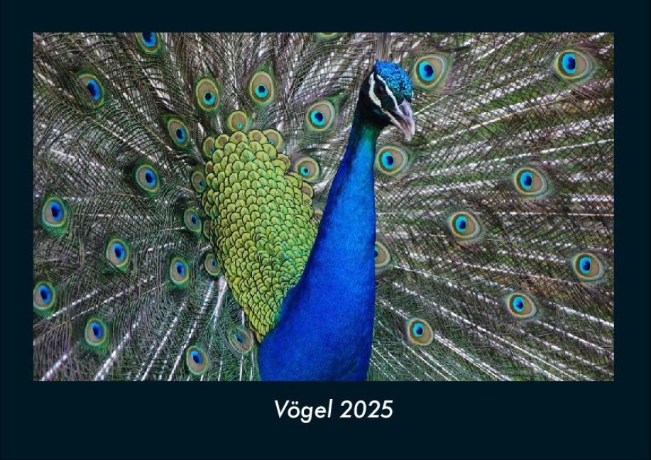 Vögel 2025 Fotokalender DIN A4 - Tobias Becker