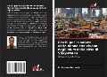 Cover-Bild zum Titel 'Rischi per la salute delle donne che vivono negli slum della città di Vijayawada' von 'B. Raveendra Naik'