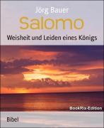 Cover-Bild zum Titel 'Salomo' von 'Jörg Bauer'