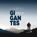 Cover-Bild zum Titel 'Vencendo gigantes' von 'Hernandes Dias Lopes'