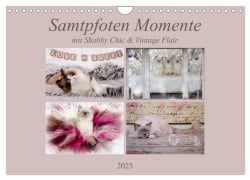 Samtpfoten Momente mit Shabby Chic & Vintage Flair (Wandkalender 2025 DIN A4 quer), CALVENDO Monatskalender - Marion Reiß-Seibert