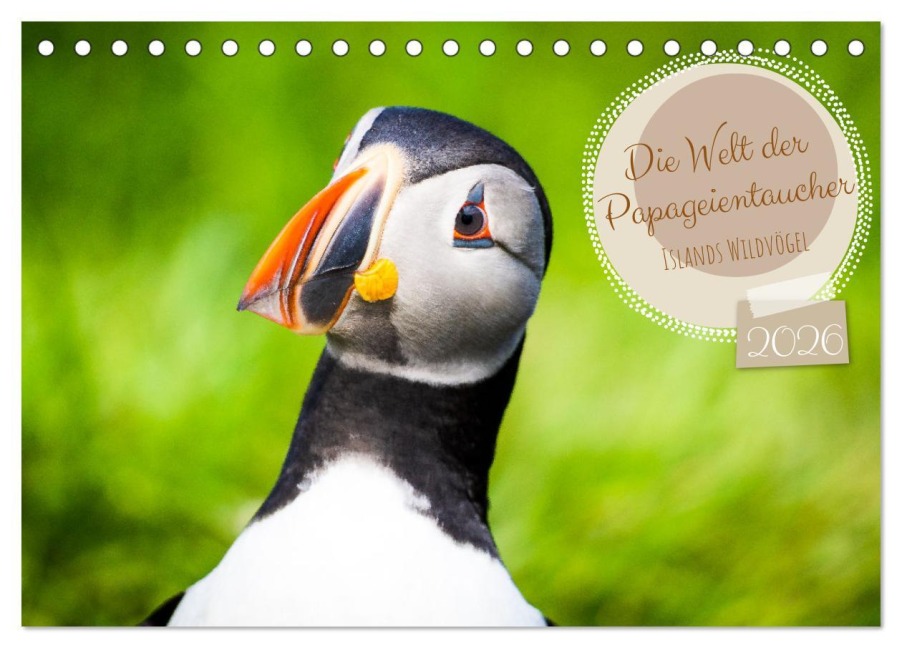 Die Welt der Papageientaucher - Islands Wildvögel (Tischkalender 2026 DIN A5 quer), CALVENDO Monatskalender - Dennis Westermann