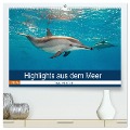 Highlights aus dem Meer - Tauchkalender (hochwertiger Premium Wandkalender 2025 DIN A2 quer), Kunstdruck in Hochglanz - Sven Gruse