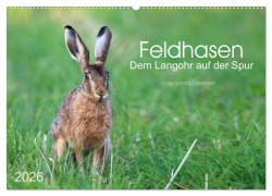 Feldhasen - dem Langohr auf der Spur (Wandkalender 2026 DIN A2 quer), CALVENDO Monatskalender - Sandra Eigenheer