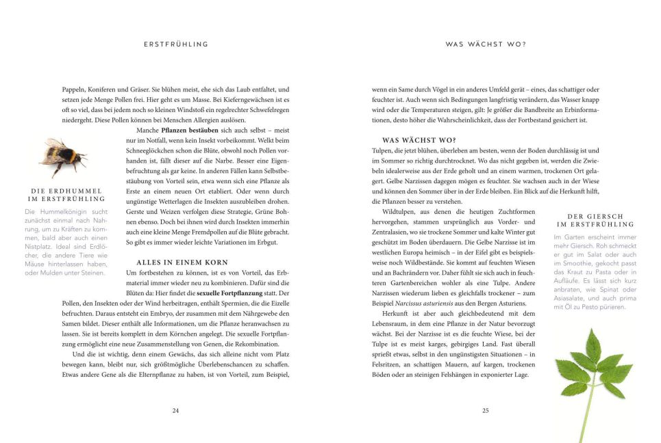 InsideView 7