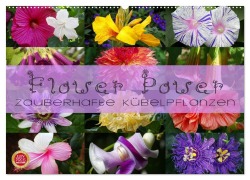 Flower Power - Zauberhafte Kübelpflanzen (Wandkalender 2026 DIN A2 quer), CALVENDO Monatskalender - Martina Cross