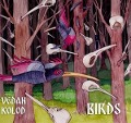Cover-Bild zum Titel 'Birds' von 'Vedan Kolod'