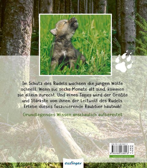 InsideView 6