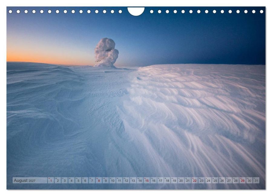 InsideView 13