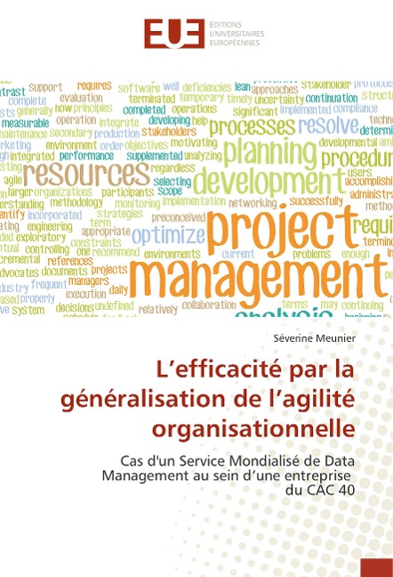 L'efficacité par la généralisation de l'agilité organisationnelle - Séverine Meunier