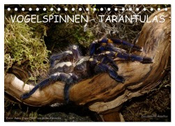 Cover-Bild zum Titel 'Vogelspinnen - Tarantulas (Tischkalender 2026 DIN A5 quer), CALVENDO Monatskalender' von 'Benny Trapp'