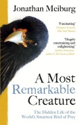 Cover-Bild zum Titel 'A Most Remarkable Creature' von 'Jonathan Meiburg'