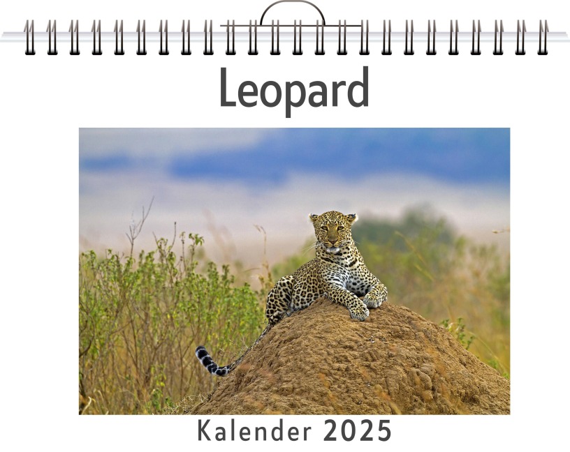 Leopard - (Wandkalender 2025, Kalender DIN A4 quer, Monatskalender im Querformat mit Kalendarium, das perfekte Geschenk) - Felix Friedrich