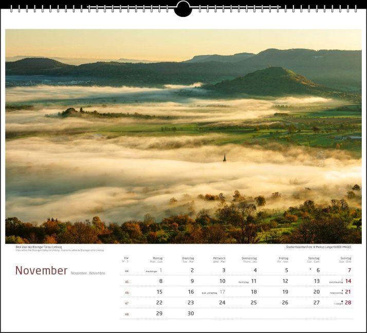 InsideView 11