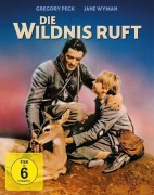 Cover-Bild zum Titel 'Die Wildnis ruft' von 'Paul Osborn, Marjorie Kinnan Rawlings, John Lee Mahin, Herbert Stothart'