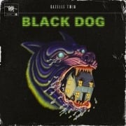 Cover-Bild zum Titel 'Black Dog' von 'Gazelle Twin'