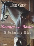 Cover-Bild zum Titel 'Ein Fohlen bring Glück' von 'Lise Gast'