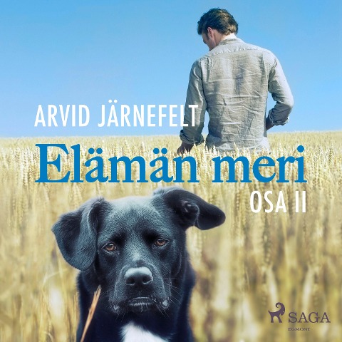 Elämän meri, osa 2 - Arvid Järnefelt