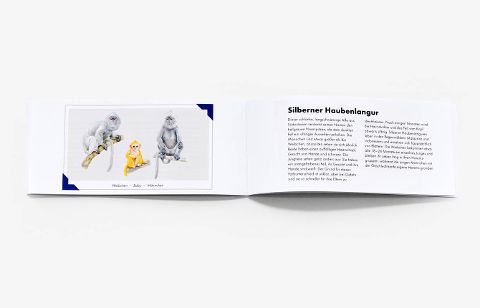 InsideView 6