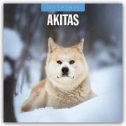Akitas - Akita 2026 - 16-Monatskalender - Robin Red