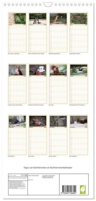 InsideView 4