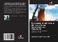 Cover-Bild zum Titel 'Il processo di estrazione dell'oro e la sua importanza per l'economia' von 'Mohamed Gauvet Bavogui'