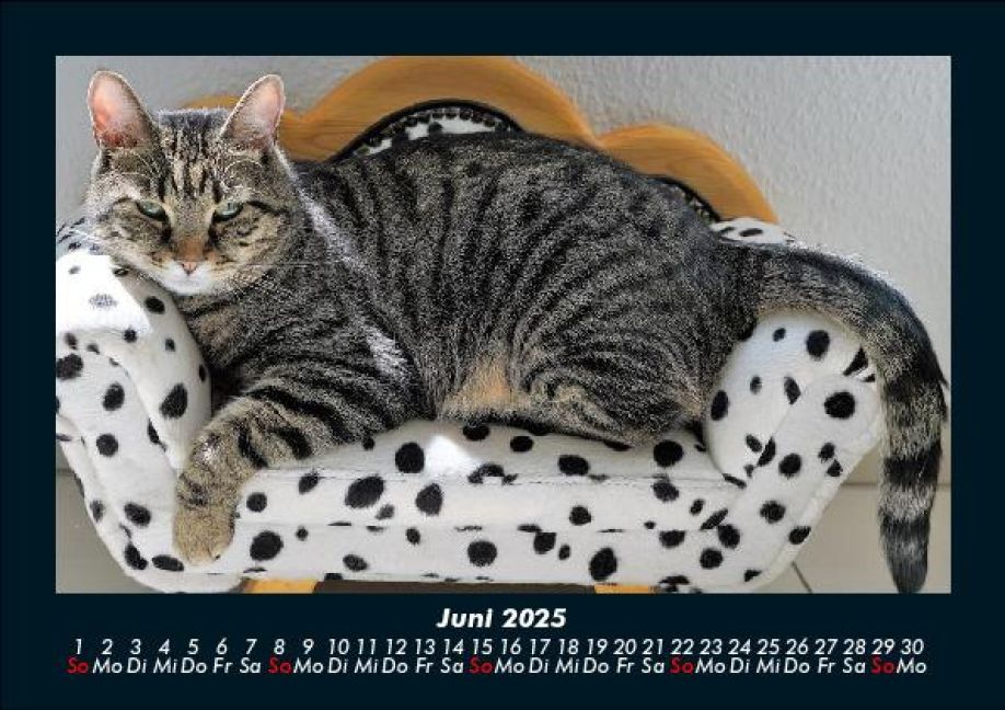 InsideView 10