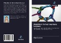 Cover-Bild zum Titel 'Metafoor in het mentale lexicon' von 'Olga Zubkova'