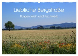 Liebliche Bergstraße - Burgen, Wein und Fachwerk (Wandkalender 2026 DIN A2 quer), CALVENDO Monatskalender - Ilona Andersen