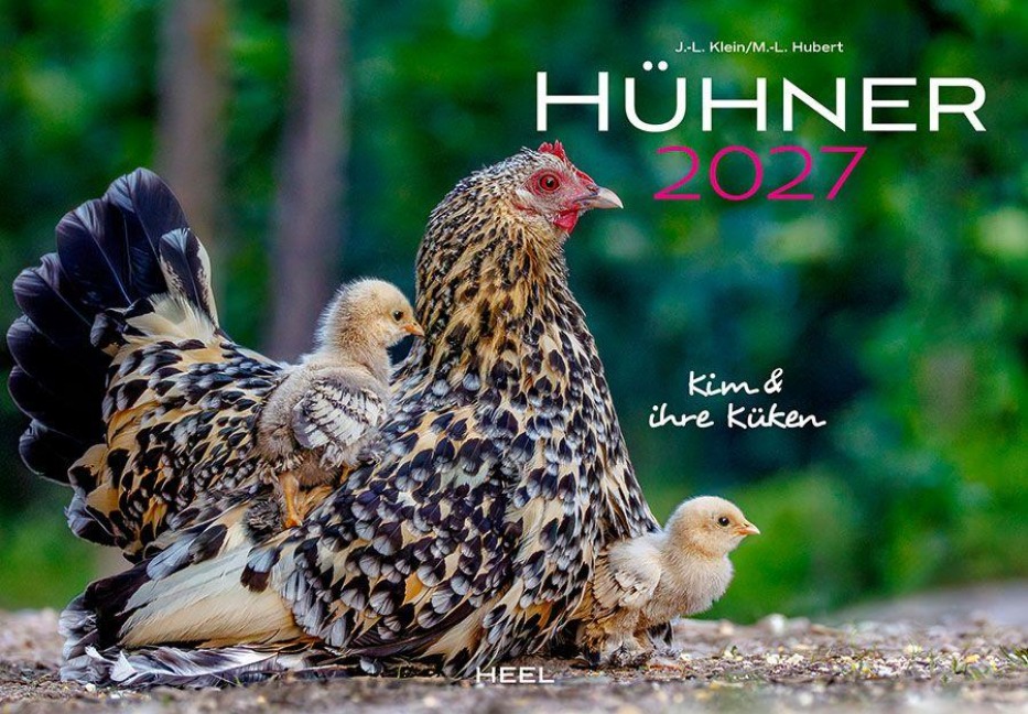 Hühner Kalender 2027 - J. -L. Klein, M. -L. Hubert