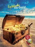Cover-Bild zum Titel 'Entdecke das Gold' von 'Markus Schade'