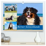 Cover-Bild zum Titel 'Berner Sennenhunde - Traumhunde mit Charme (hochwertiger Premium Wandkalender 2026 DIN A2 quer), Kunstdruck in Hochglanz' von 'Jana K. Fotografie'