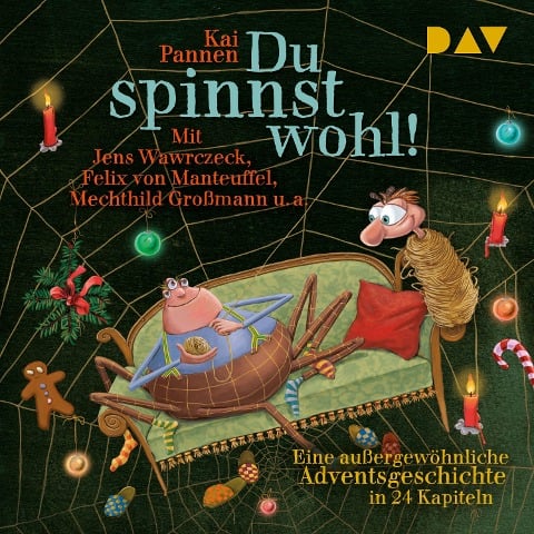 Du spinnst wohl! Eine außergewöhnliche Adventsgeschichte in 24 Kapiteln - Kai Pannen