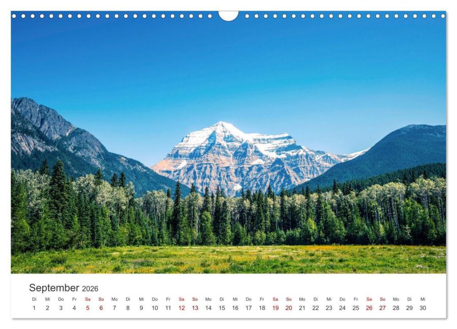 InsideView 14