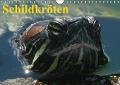 Schildkröten (Wandkalender immerwährend DIN A4 quer) - Elisabeth Stanzer
