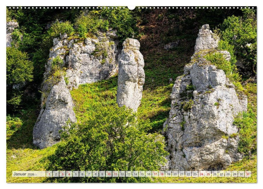 InsideView 6