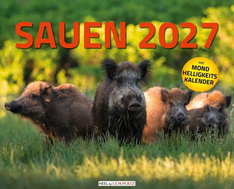 Sauen Kalender 2027 Jagd-Kalender im XXL-Format - 