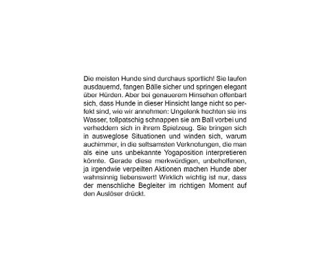 InsideView 1