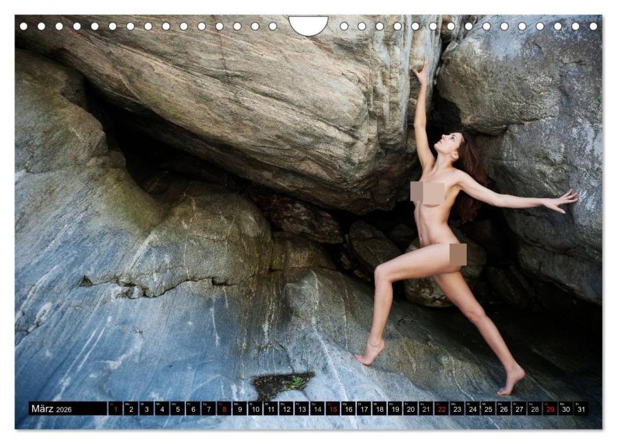 InsideView 8